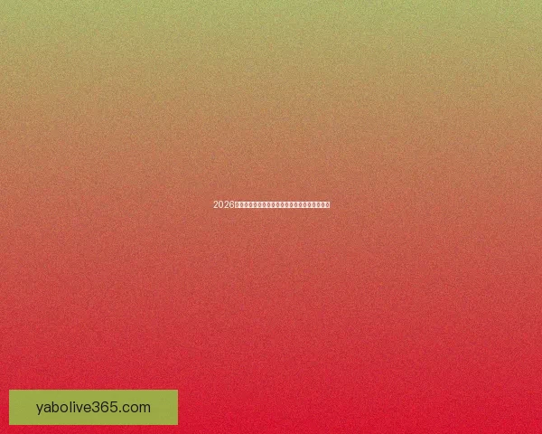 2026世界杯即将开幕美国精彩赛事全攻略与观赛指南